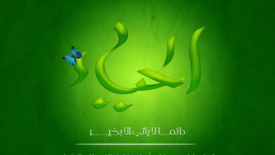 Hayyaakhulq