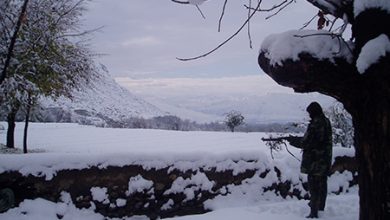 Alah Say Winter 2006