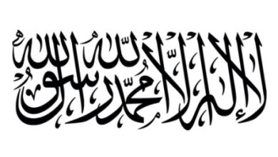 Alemara Flag