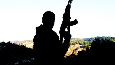 Mujahid Fight