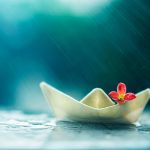 Boat Red Flower Light Abstract Photography