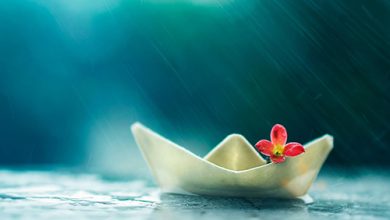 Boat Red Flower Light Abstract Photography