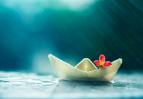 Boat red flower light abstract photography