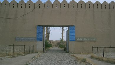 45013979