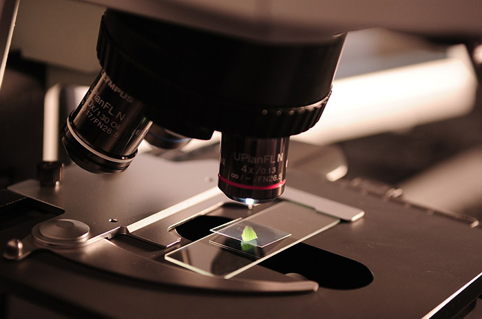 Best microscope