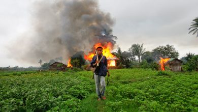 Burma Burning Houses