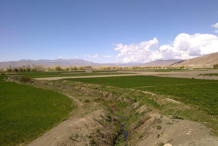 Gomal