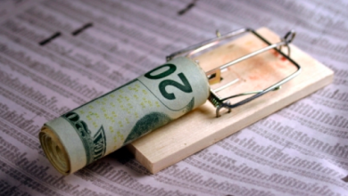 Mousetrap Dumb Money Image
