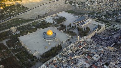 Arial alaqsa 2013