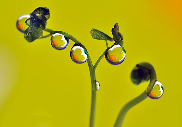 Photography heidi westum 13