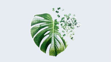 Doiy slow puzzle monstera 02