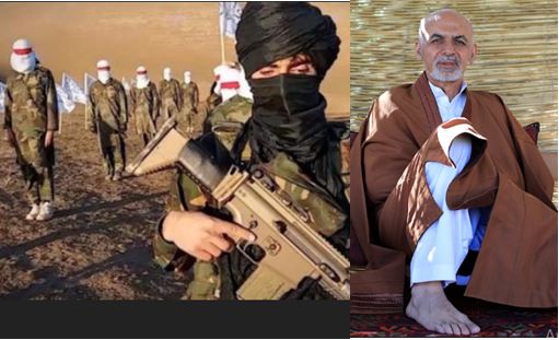 Ghani au talib