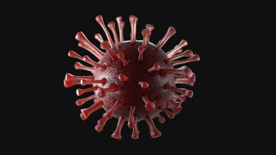 Coronavirus 3d model animated obj 3ds fbx c4d