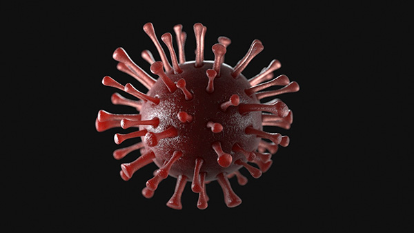 Coronavirus 3d model animated obj 3ds fbx c4d