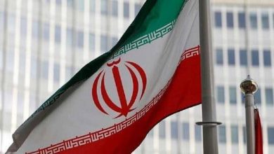 Iran flag