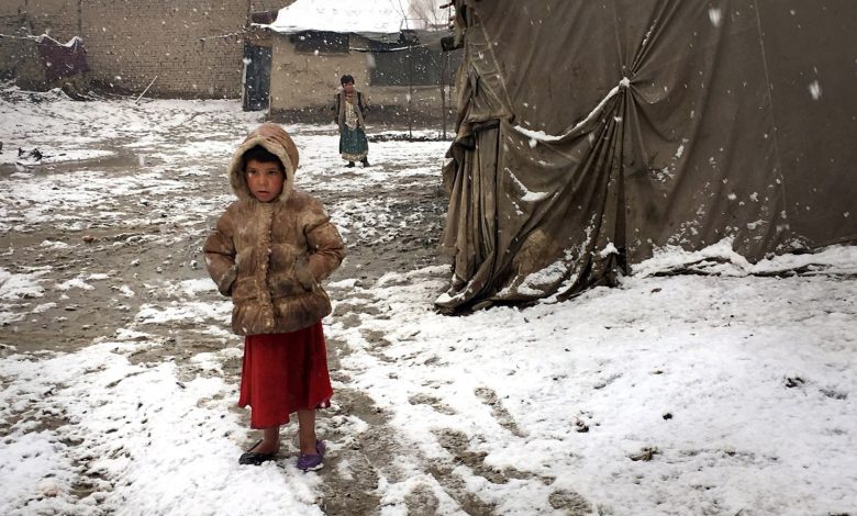 Afghanwinter002 001