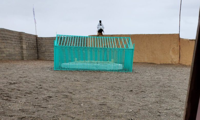 Mulaomargrave