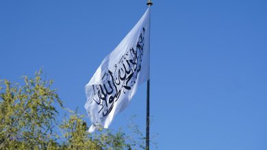 Flag Alemara 00