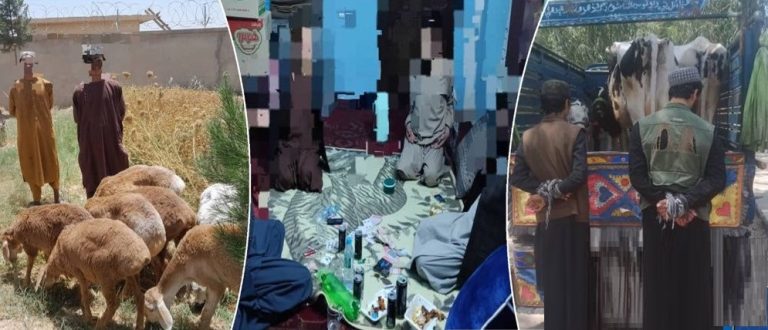 اعتقال ٣١ شخصا بارتكاب جرائم جنائية في مناطق مختلفة في البلاد