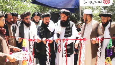 وزير الإعلام والثقافة بالوكالة: توفير الفرص المناسبة والتسهيلات اللازمة لتعزيز الثقافة والفن