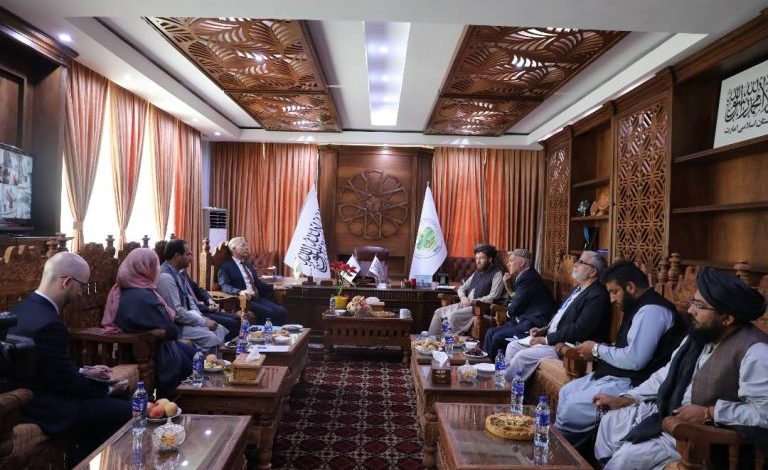 وزير الزراعة بالوكالة يلتقي برئيس منظمة الأمم المتحدة للأغذية والزراعة ونائب رئيس مكتب اليوناما