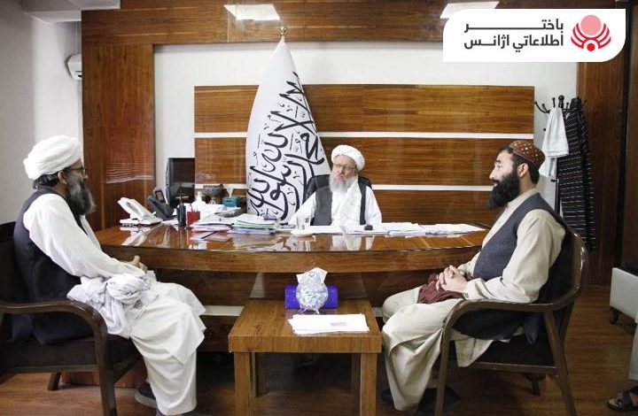 حنفي: على مسؤولي وزارة التعليم العالي التنسيق والتعاون مع المؤسسات ذات الصلة