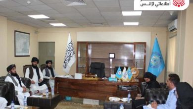 رئيس مكتب مجتمع الأمم المتحدة في كابول وعد بالتعاون مع أفغانستان في مجال سبل العيش البديلة وعلاج مدمني المخدرات