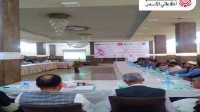 إطلاق مشروع زراعة الزعفران في هرات بتكلفة ١.٢ مليون دولار أمريكي