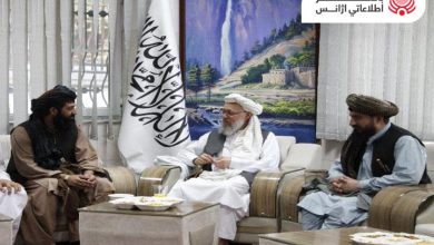 حنفي: على المسؤولين المحليين تقديم خدمات للمواطنين وتوفير الأمن، بالإضافة إلى عدم ارتكاب شيئا خاطئا في هذا الصدد