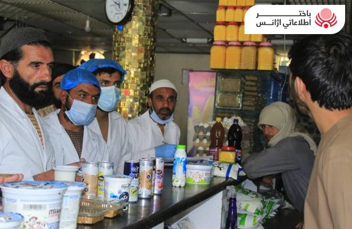 ما يقرب من ٤٠٠ محل ألبان تنشط في ولاية قندهار
