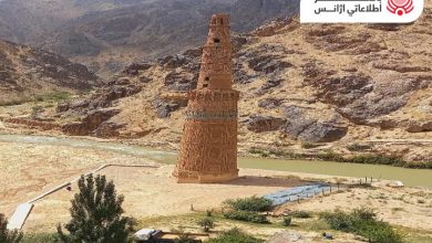 زيارة أكثر من ١٠٠ سائح في غور