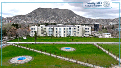 Kabuluniversity