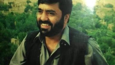 Ahmadgul000q