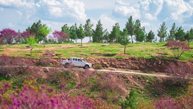 Afghanistan Nature00909