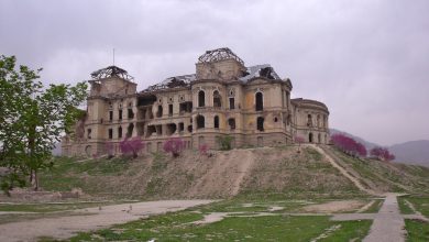 old_afghan