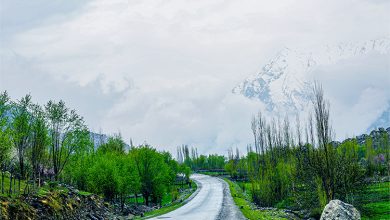 Afghanistannature0080977