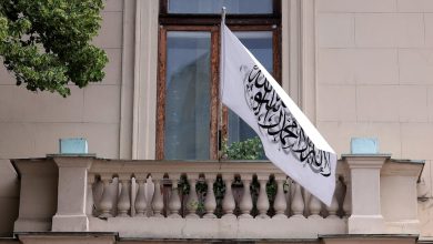 Alemaraembassyٌrussia